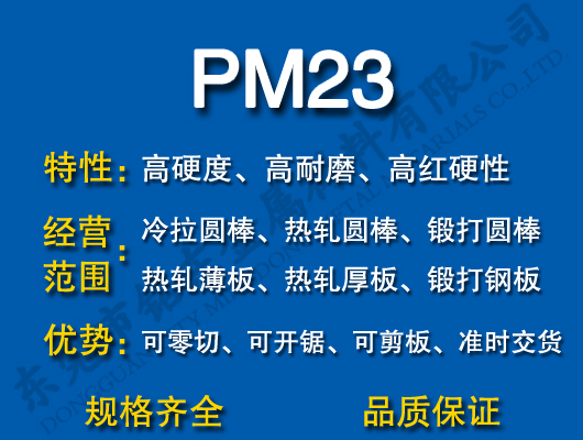 PM23