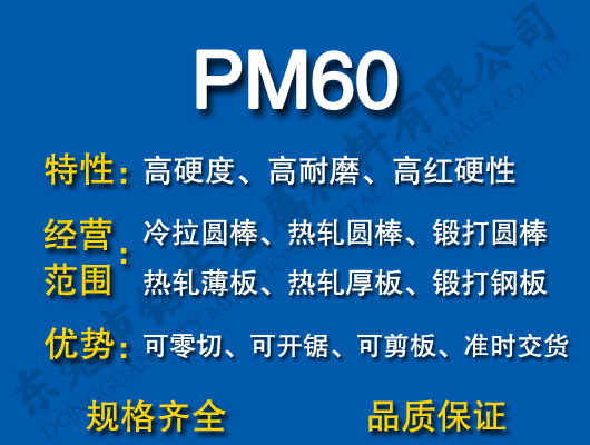 PM60