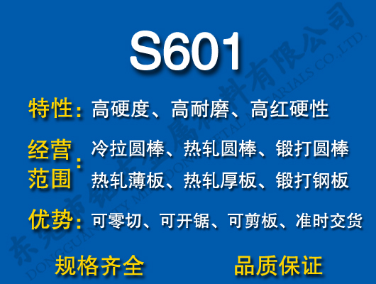 S601