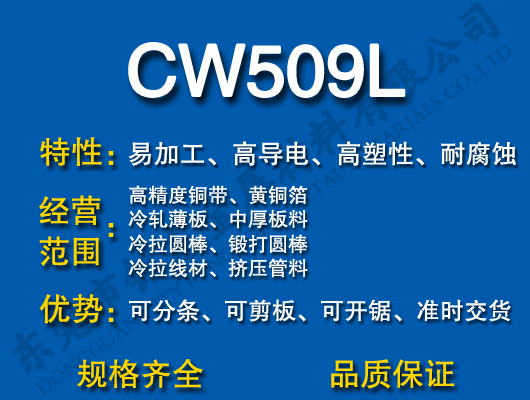 CW509LS~