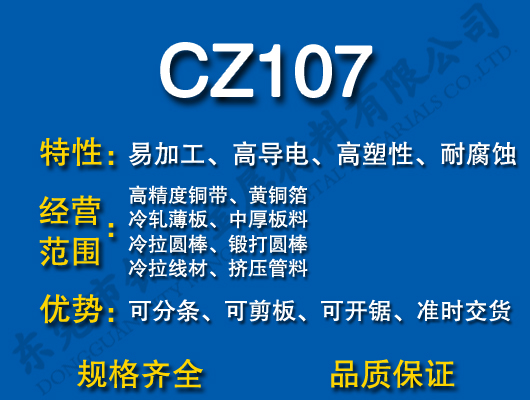 CZ107S~