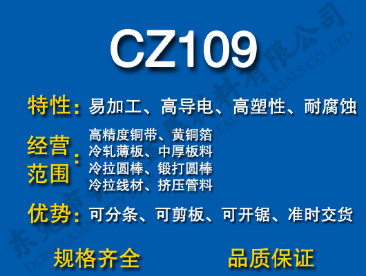CZ109S~