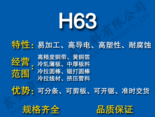 H63S~