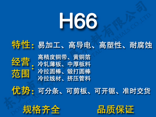 H66S~