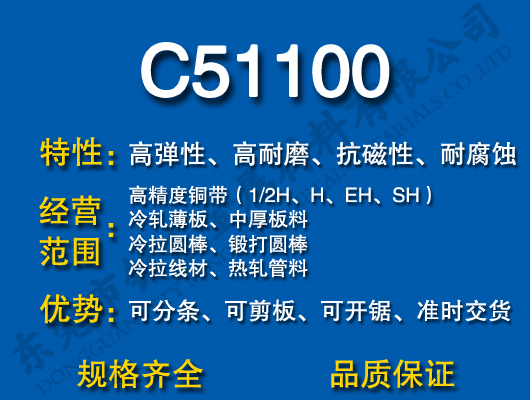 C51100~
