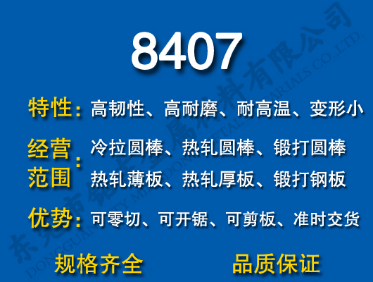 8407ģ