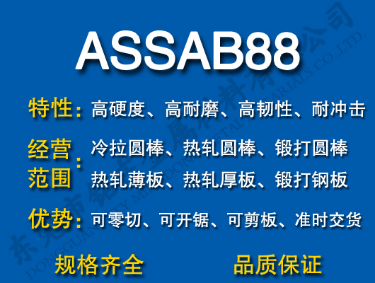 ASSAB88ģ