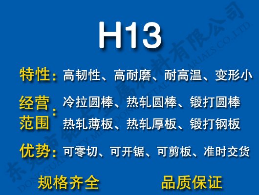 H13ģ
