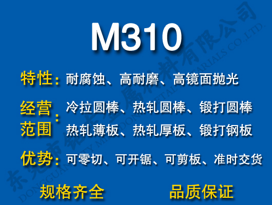 M310ģ