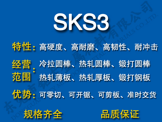 SKS3ģ