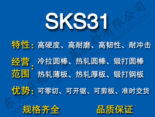SKS31ģ