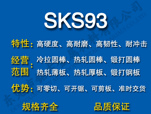 SKS93ģ