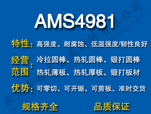AMS4981⁺Ͻ
