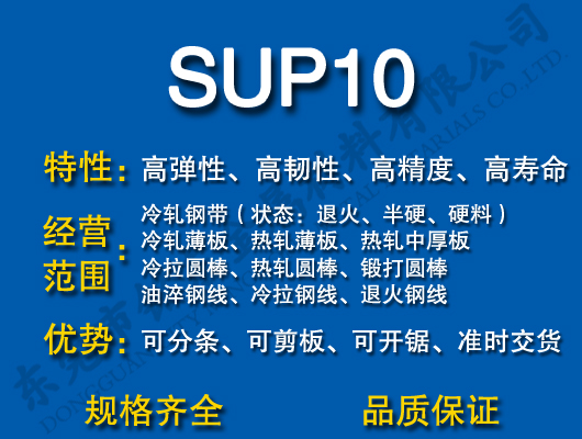 SUP10