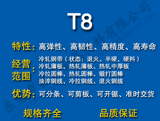 T8