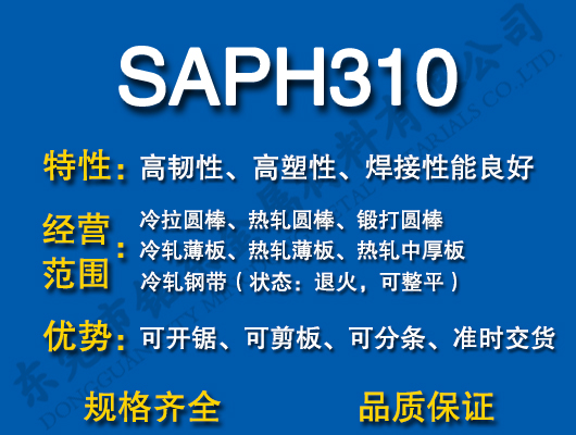 SAPH310̼Y(ji)