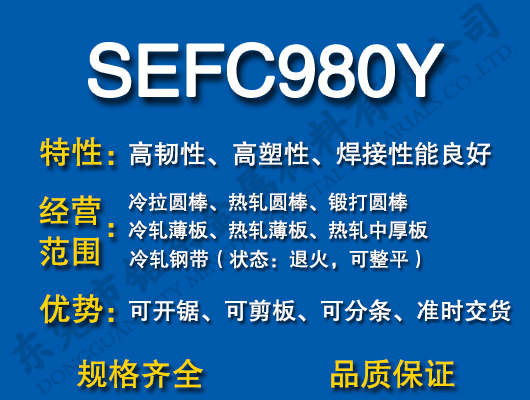 SEFC980Y̼Y(ji)