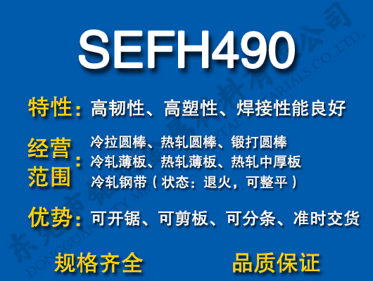 SEFH490̼Y(ji)