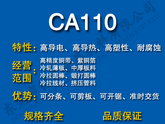 CA110~/t~